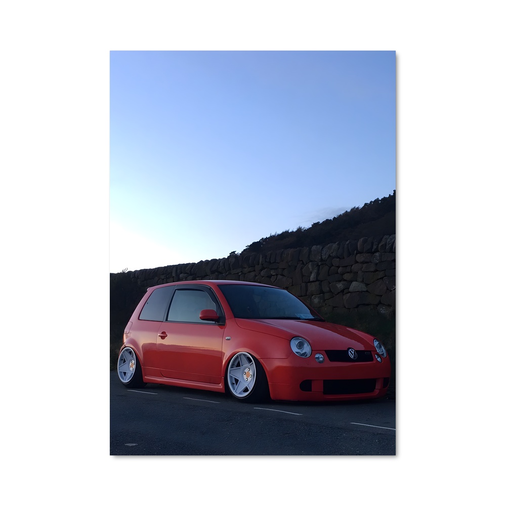Poster Lupo en Fête